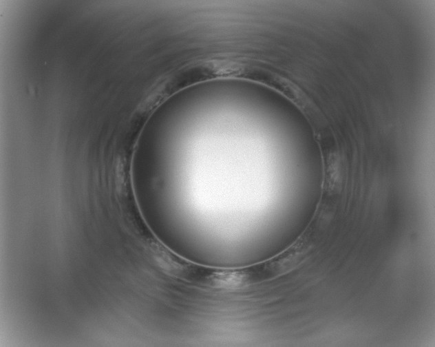 X0000067330667200604030935