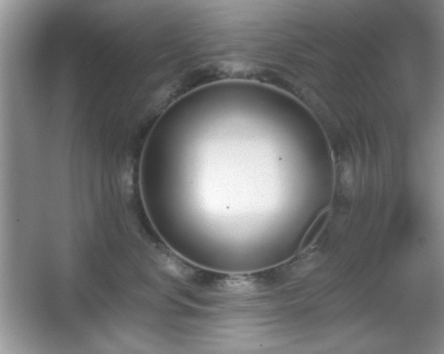 X0000067330668200604030935