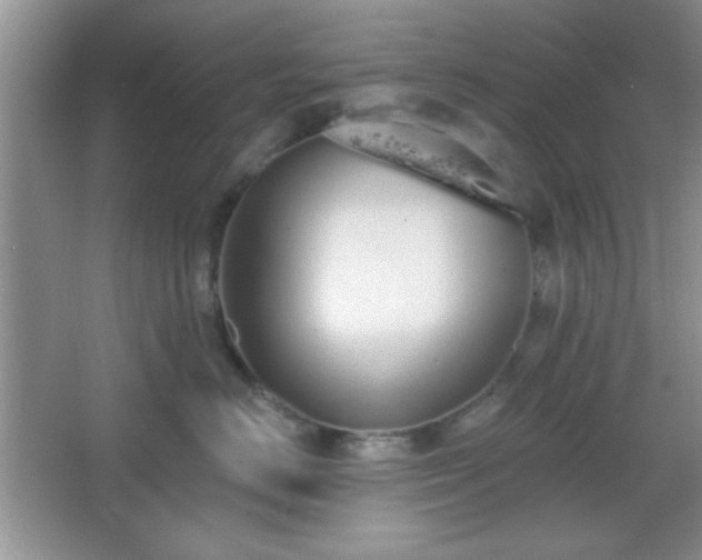 X0000067330670200604030935