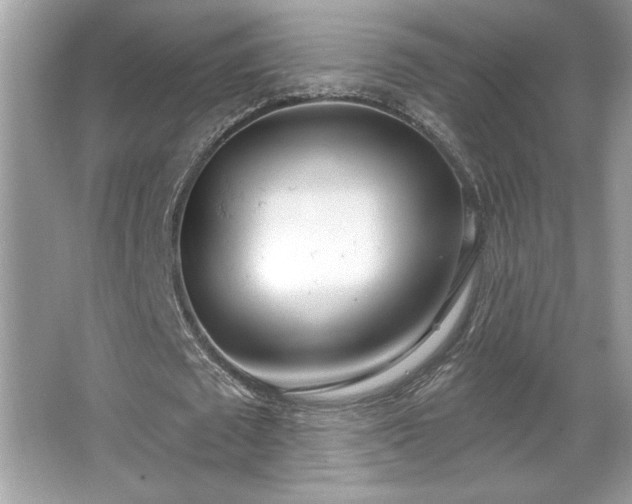 X0000067330673200604030934