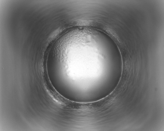 X0000067330682200604030934