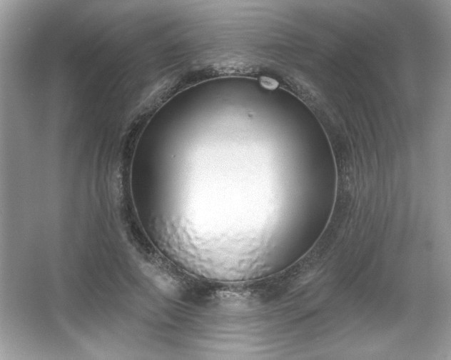X0000067330690200604030934