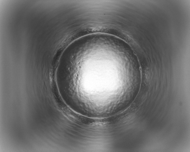 X0000067330691200604030934
