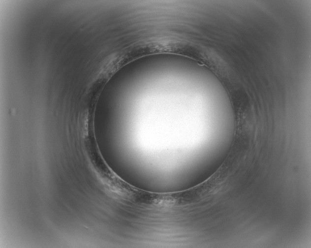 X0000067330694200604030934