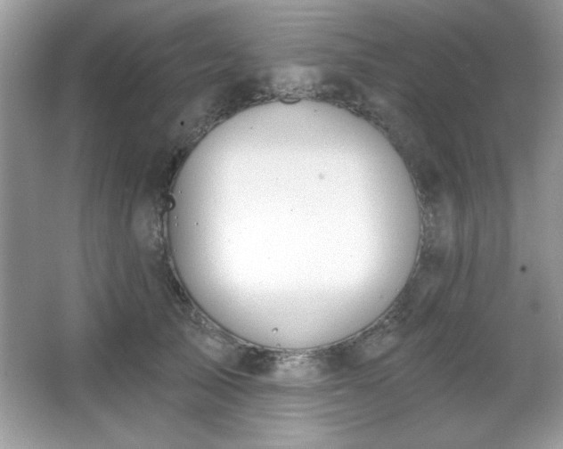 X0000067330705200604030933