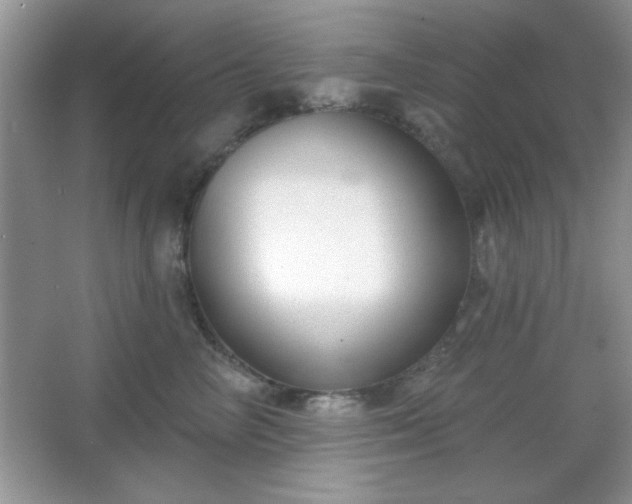 X0000067330714200604030933