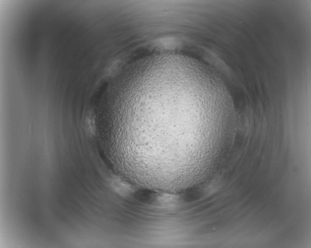 X0000067330718200604030933