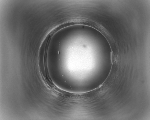 X0000067330724200604030932