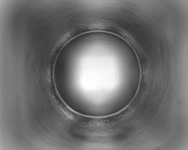X0000067330729200604030932