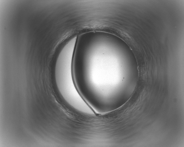 X0000067330735200604030932