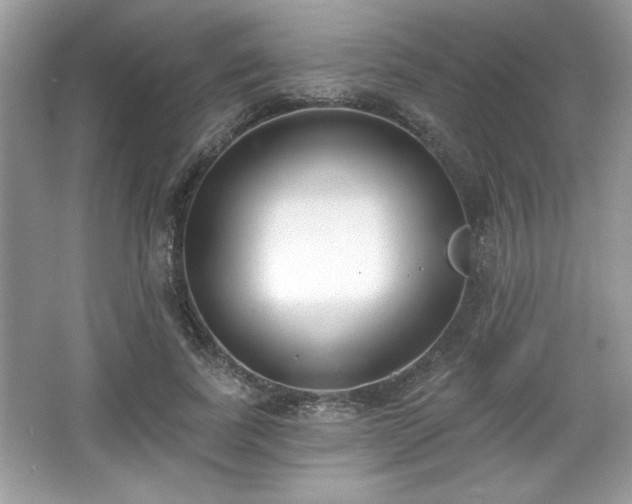 X0000067330739200604030933