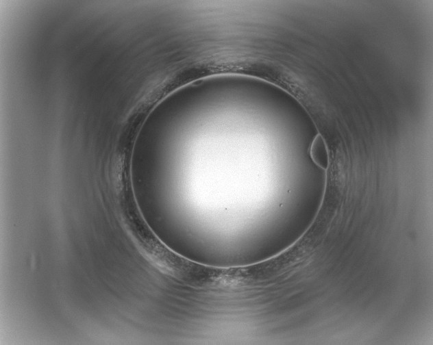 X0000067330742200604030933