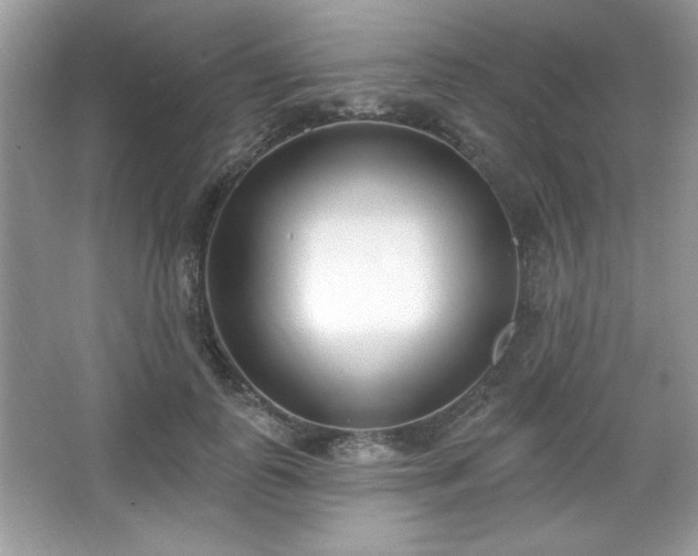 X0000067330747200604030933