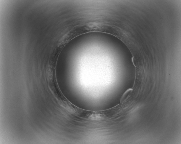 X0000067330751200604030933