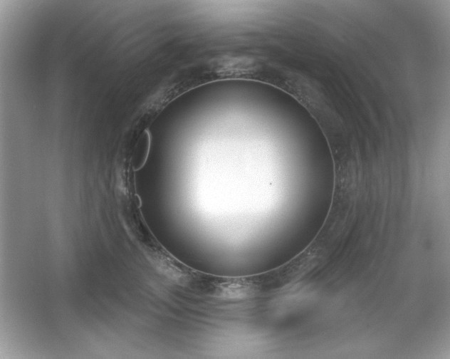 X0000067330755200604030933