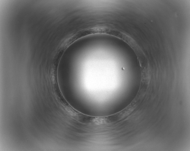 X0000067330762200604030933
