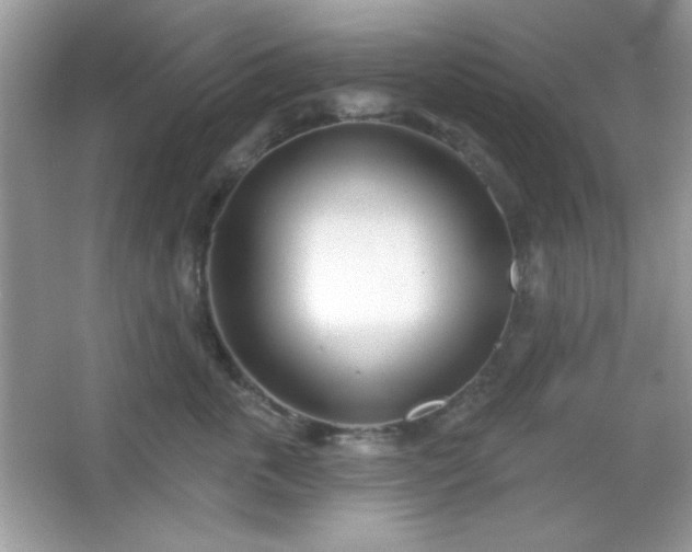 X0000067330763200604030933