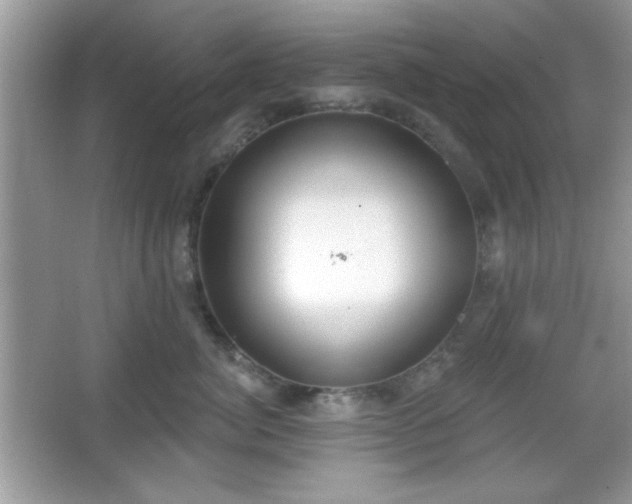 X0000067330764200604030933