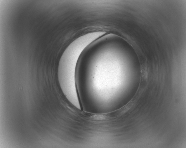 X0000067330766200604030933