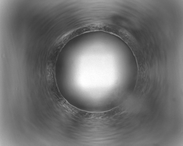 X0000067330773200604030932