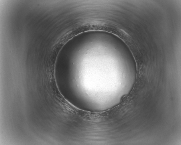 X0000067330774200604030932