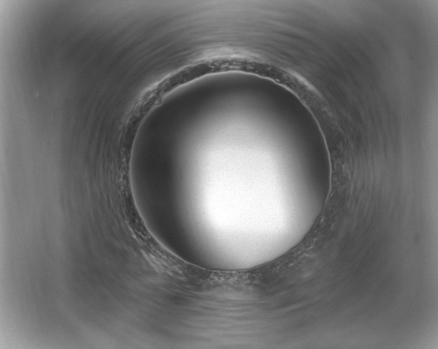 X0000067330775200604030932
