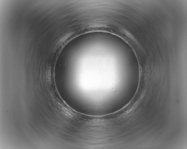 X0000067330777200604030932