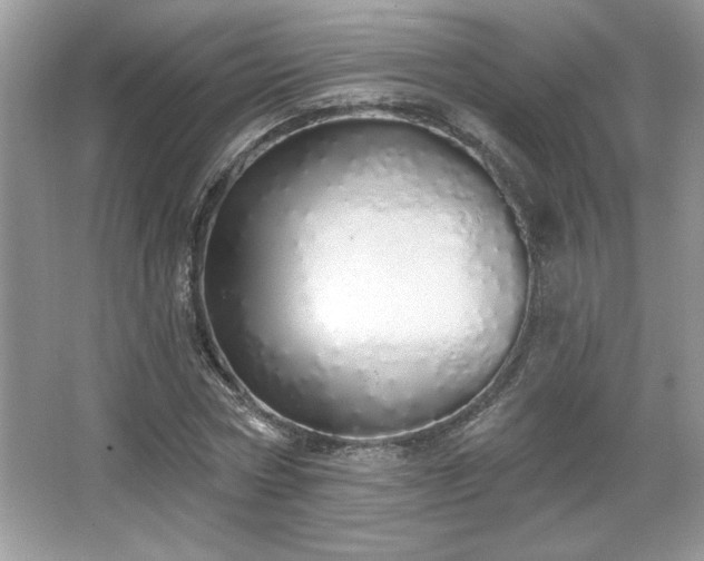 X0000067330778200604030932