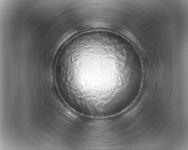 X0000067330782200604030932