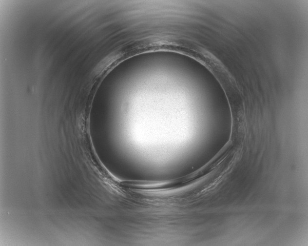X0000067330785200604030932