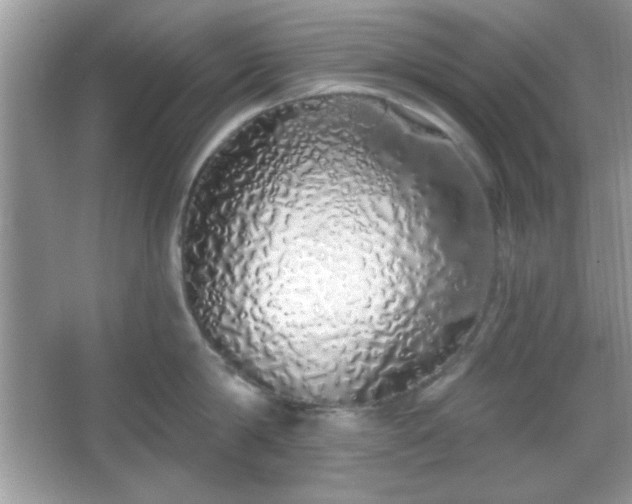 X0000067330814200604030931