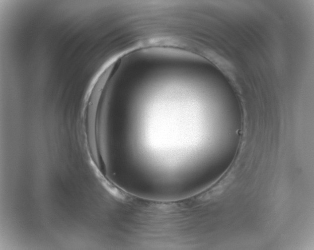 X0000067330816200604030931