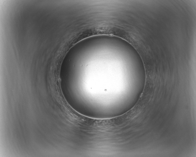 X0000067330817200604030931