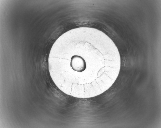 X0000067330820200604030931