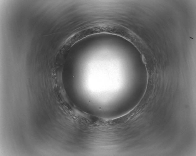 X0000067330822200604030931