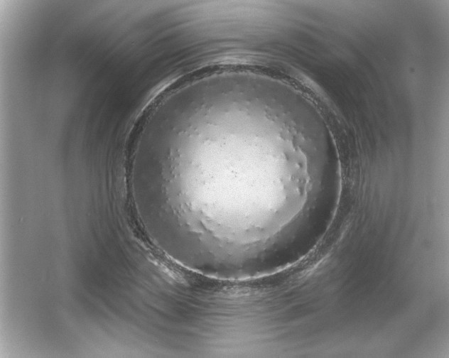 X0000067330829200604030931