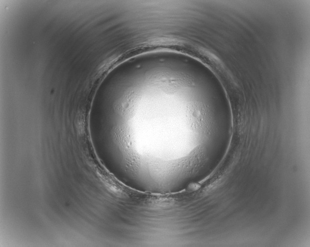 X0000067330833200604030931