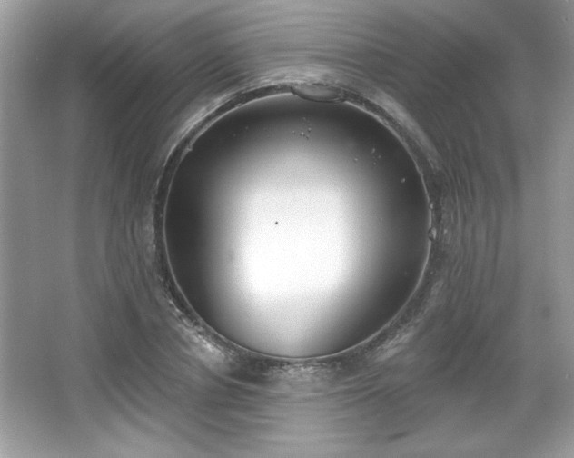 X0000067330834200604030931