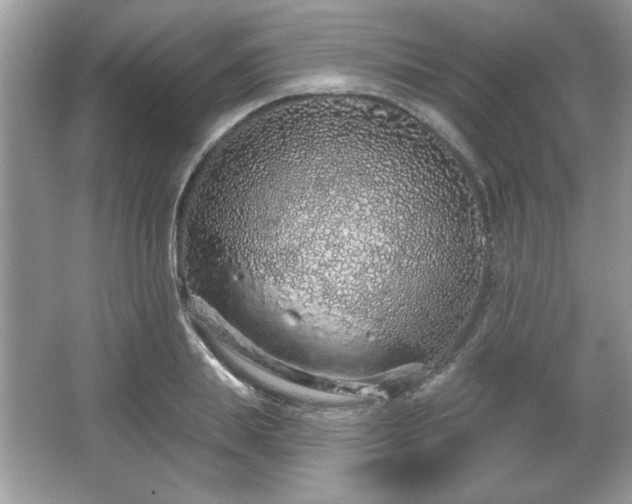 X0000067330839200604030931