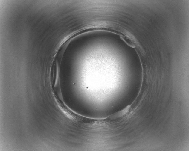 X0000067330842200604030931