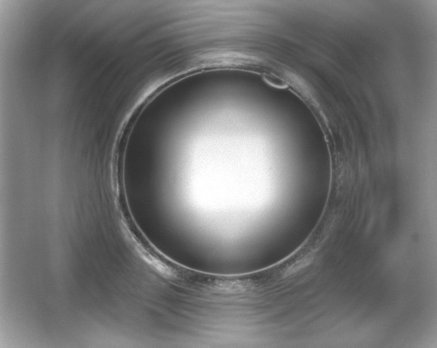 X0000067330843200604030931