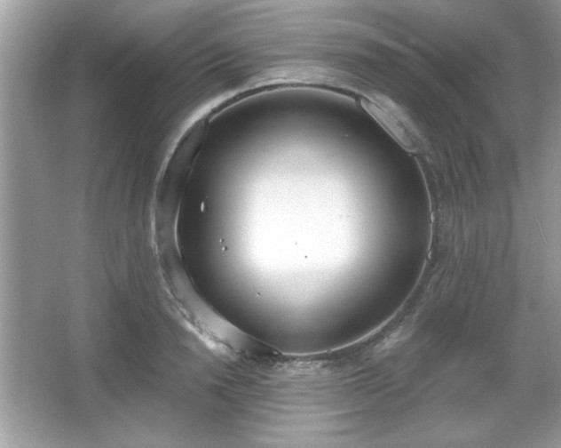X0000067330846200604030931