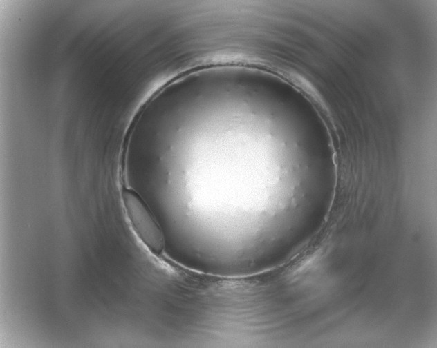 X0000067330847200604030931