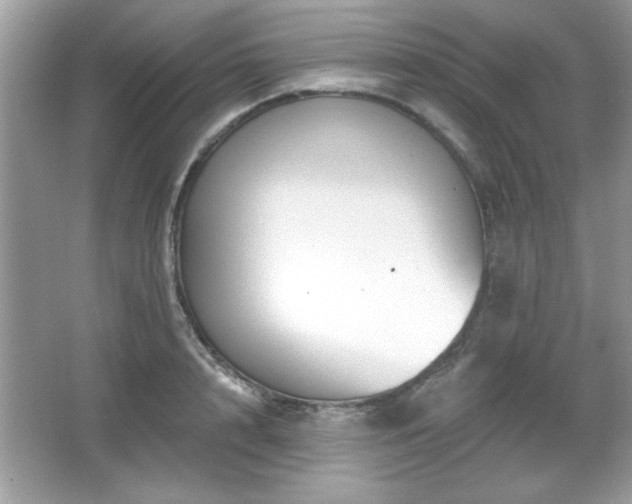 X0000067330848200604030931
