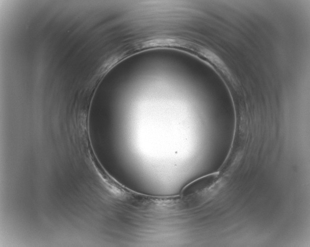 X0000067330849200604030931