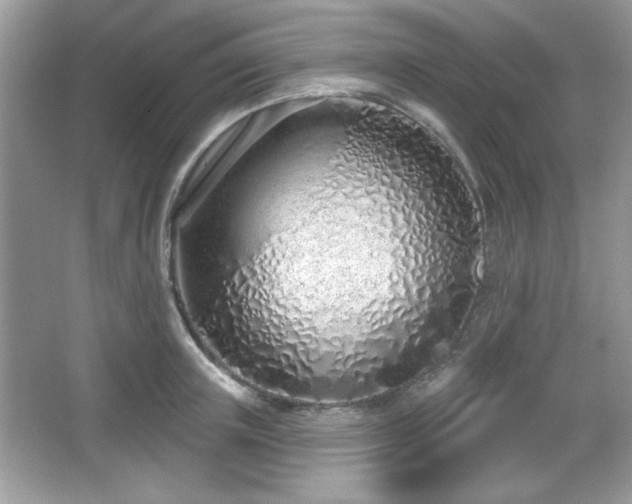 X0000067330851200604030931