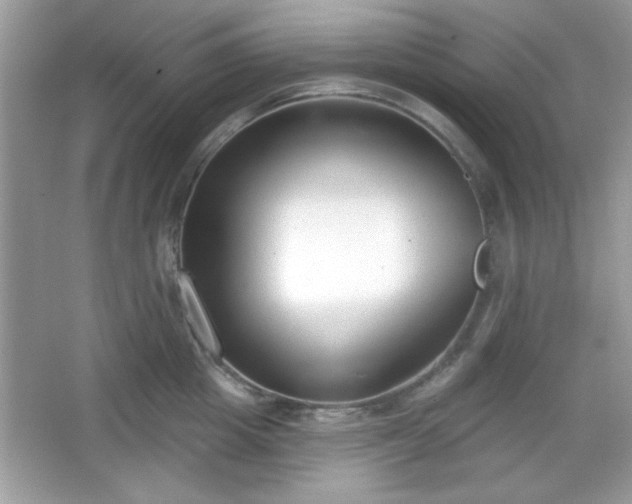 X0000067330857200604030931