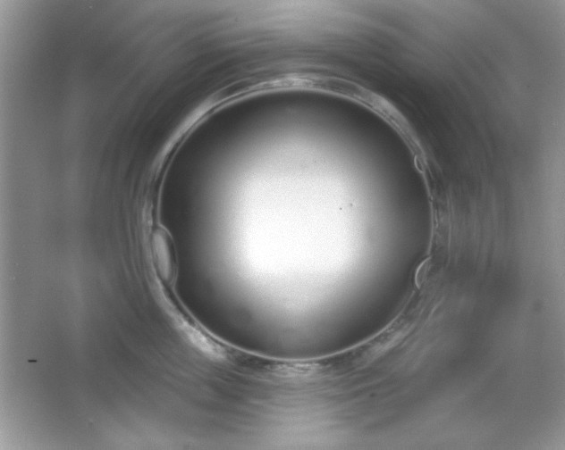 X0000067330859200604030931