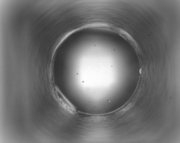 X0000067330860200604030931