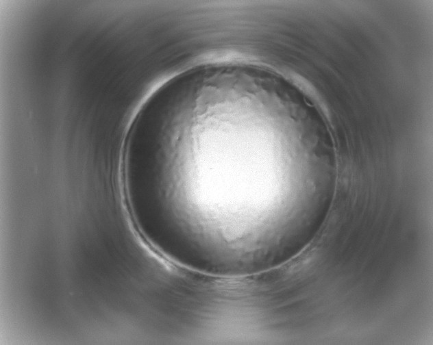 X0000067330863200604030931